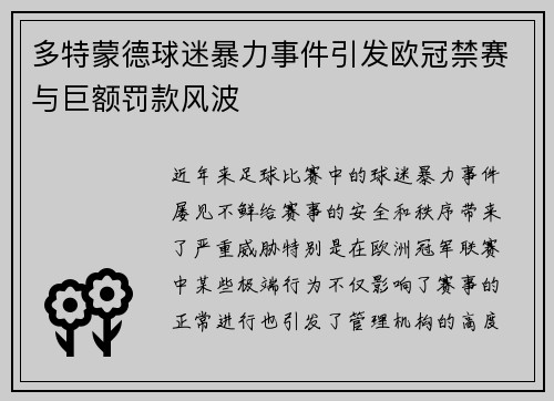 多特蒙德球迷暴力事件引发欧冠禁赛与巨额罚款风波